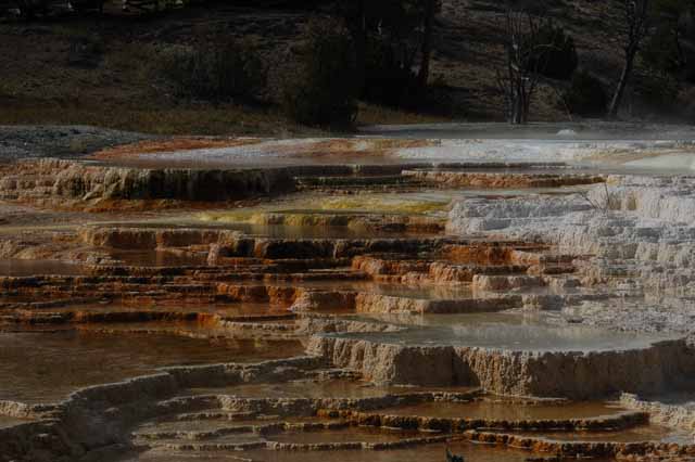 The Terraces at Mammoth Hot Springs
